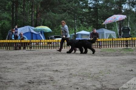 Фотография № 76973