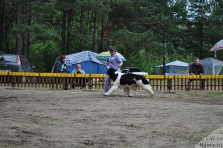 Фотография № 76974