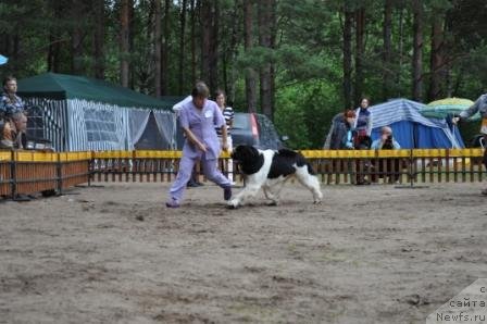 Фотография № 76975