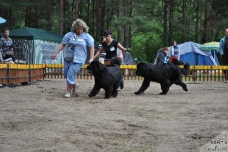 Фотография № 76976