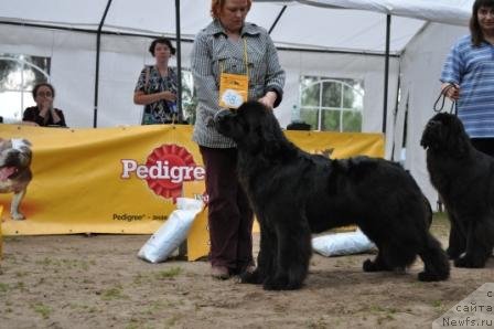 Фотография № 76977