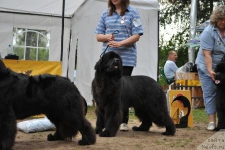 Фотография № 76978