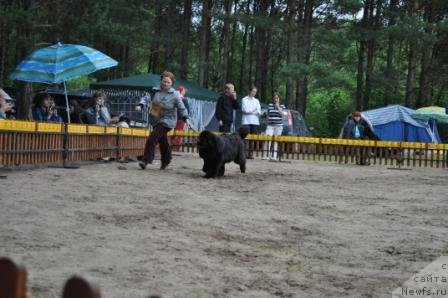 Фотография № 76983