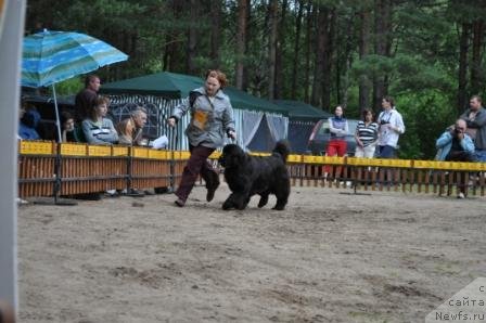 Фотография № 76984