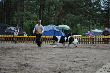 Фотография № 76985