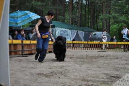 Фотография № 76986