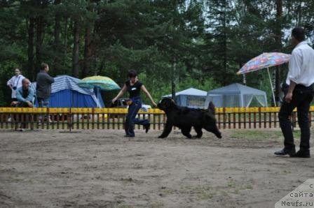 Фотография № 76987