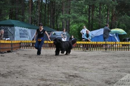 Фотография № 76988