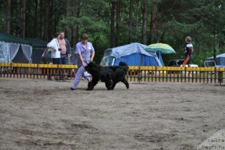 Фотография № 76991