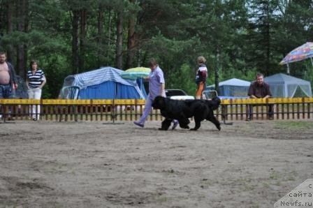 Фотография № 76992