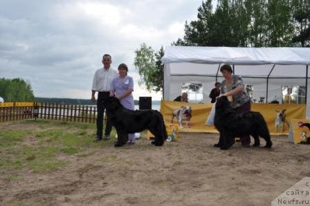 Фотография № 76994