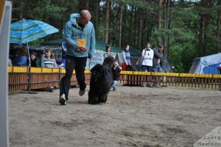 Фотография № 76997