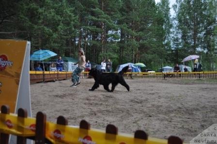 Фотография № 76999