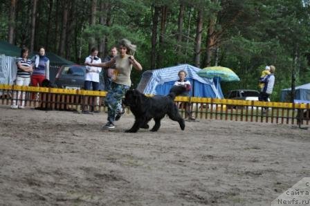 Фотография № 77000