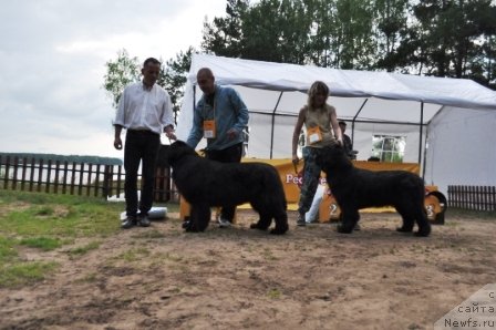 Фотография № 77001