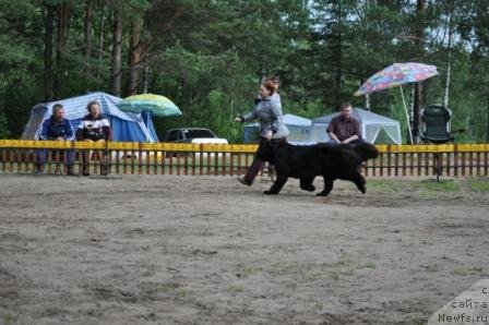 Фотография № 77005