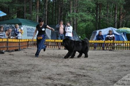 Фотография № 77006