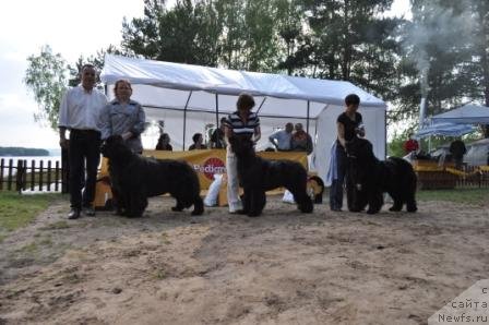 Фотография № 77008