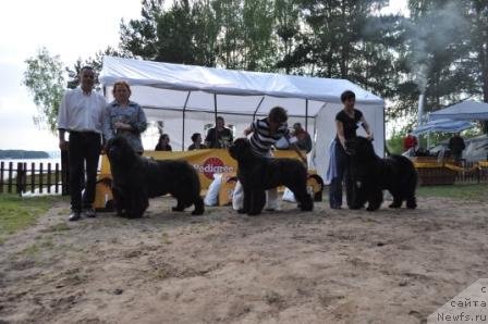 Фотография № 77009