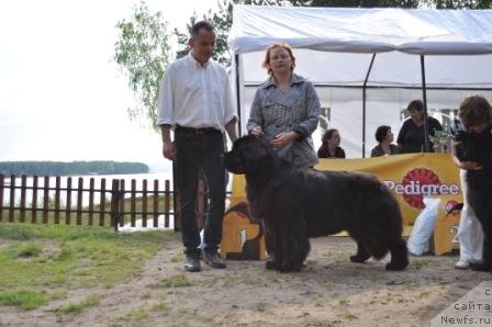 Фотография № 77010