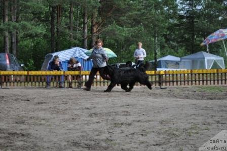 Фотография № 77011