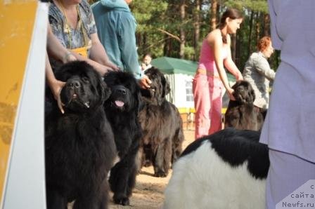 Фотография № 77014