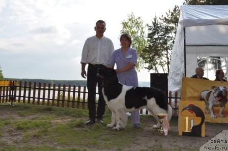 Фотография № 77015