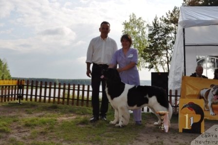 Фотография № 77016