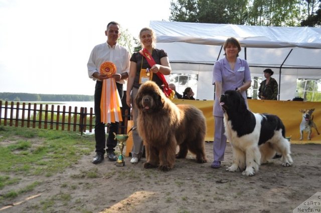 Фотография № 77021