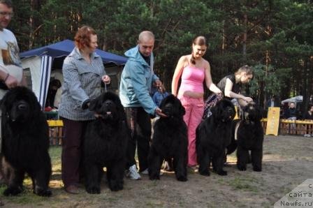 Фотография № 77022