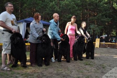 Фотография № 77023