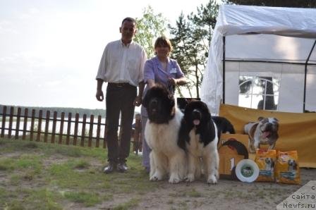 Фотография № 77024