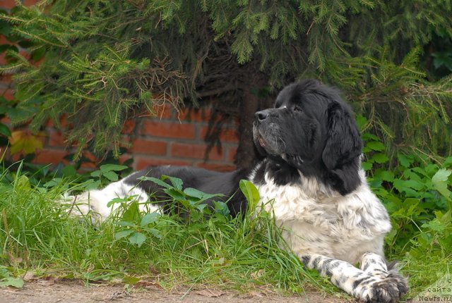 Фотография № 77032