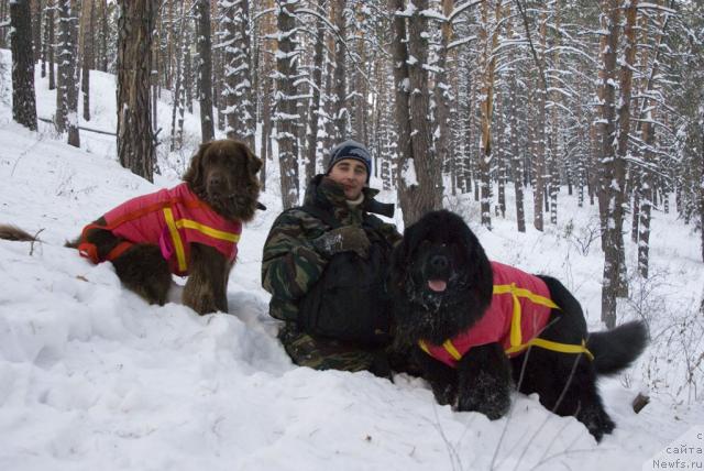 Фото: ньюфаундленд Lesnaya Skazka Izol'da (Лесная Сказка Изольда), ньюфаундленд Ygan s Toyanova Gorodka (Юган с Тоянова Городка), Igor' Momot (Игорь Момот)