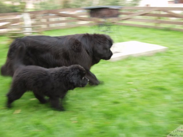 Фотография № 77081