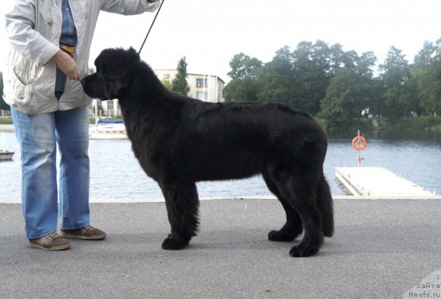 Фотография № 77084