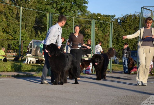 Фотография № 77091