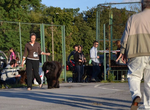 Фотография № 77092