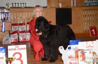 Фотография № 77143