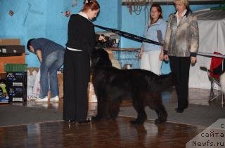 Фотография № 77191