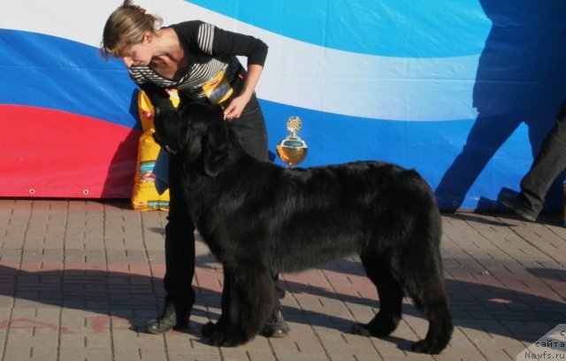 Фотография № 77207