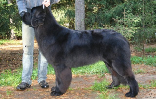 Фотография № 77208