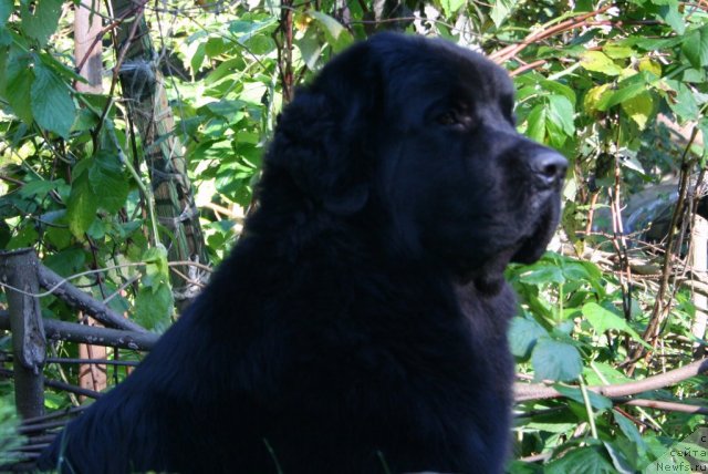 Фотография № 77212