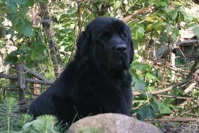 Фотография № 77213