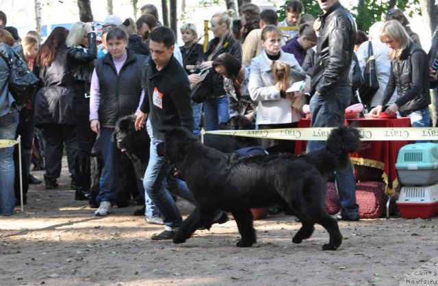 Фотография № 77223