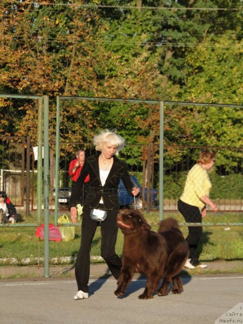 Фотография № 77298