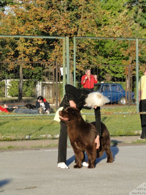 Фотография № 77299