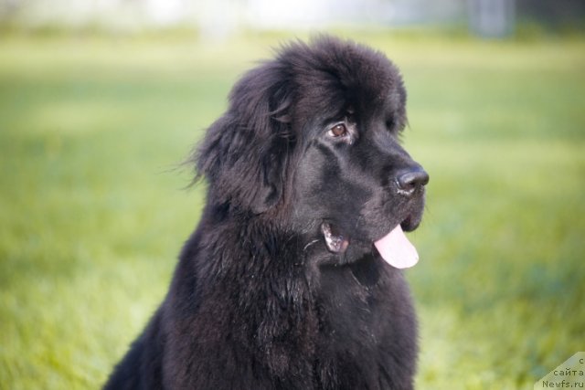 Фотография № 77324