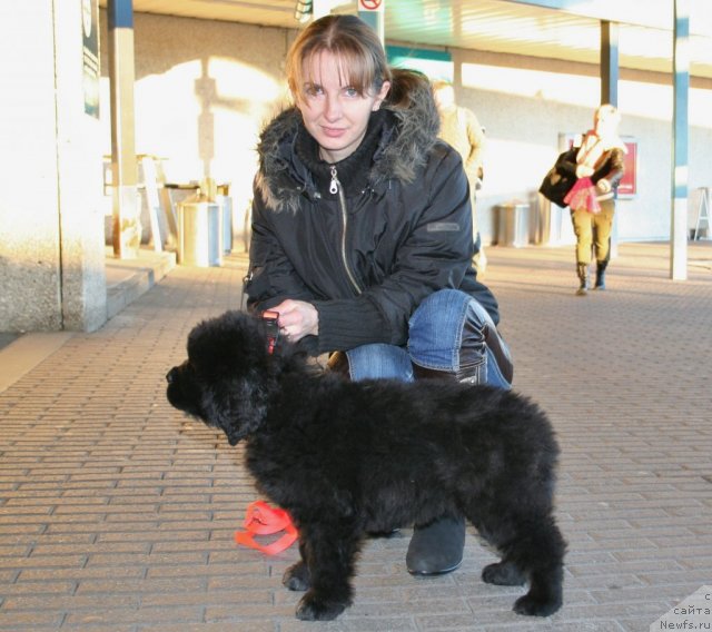 Фотография № 77330