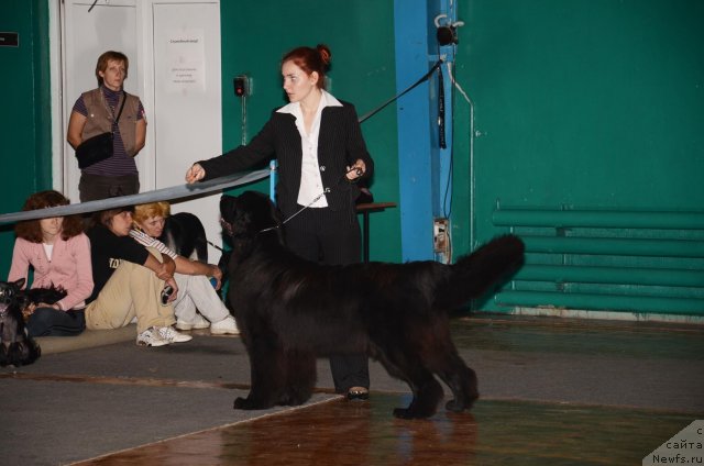 Фотография № 77333